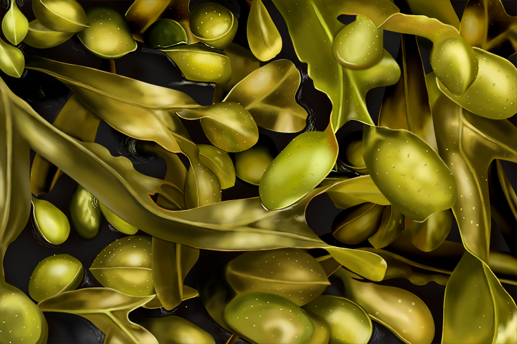 Examples of plants that make spores and their characteristic